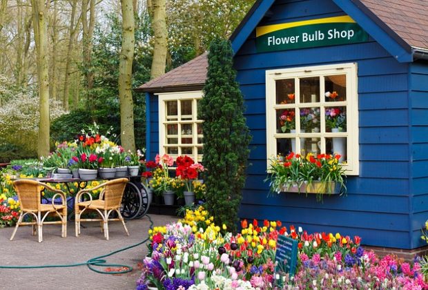 Jak stworzyć sklep ogrodniczy na platformie shoper?